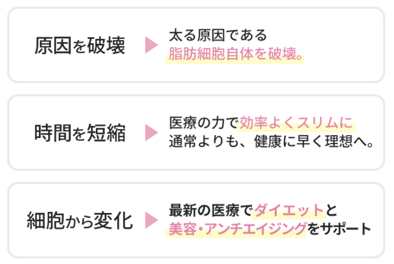 BSクリニックの医療ダイエット特徴