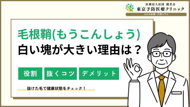 毛根鞘（白い塊）大きい理由は？抜くコツ＆抜くとどうなる？